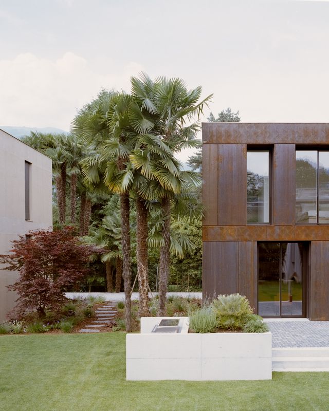 LIH - Cingallegra – SIMONE BOSSI ©